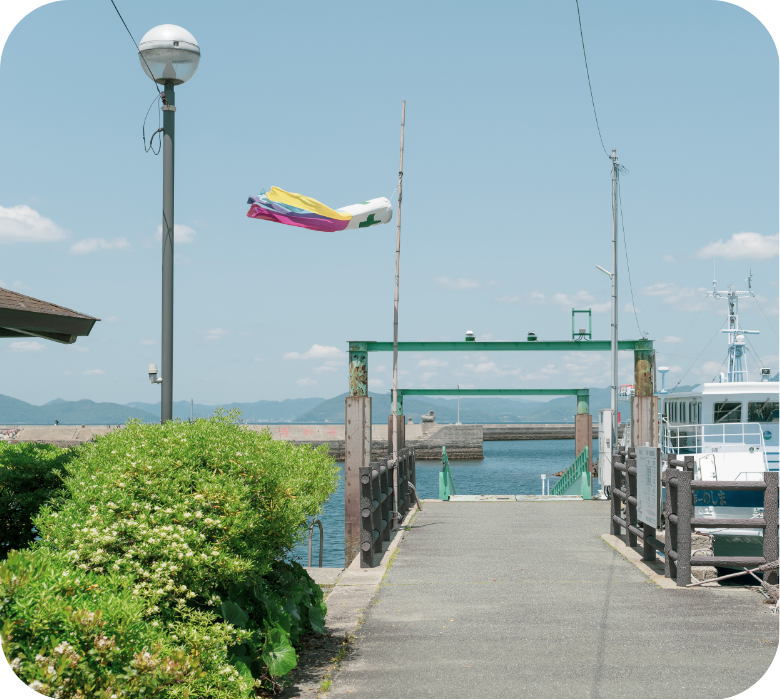 野島イメージ